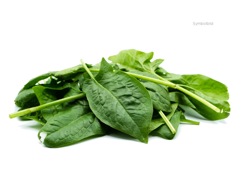 Artikelbild Bio Spinat 1175
