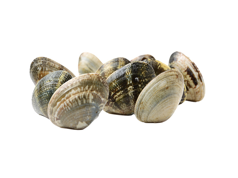 Artikelbild Bretonische Teppichmuscheln Palourde mittel 1204