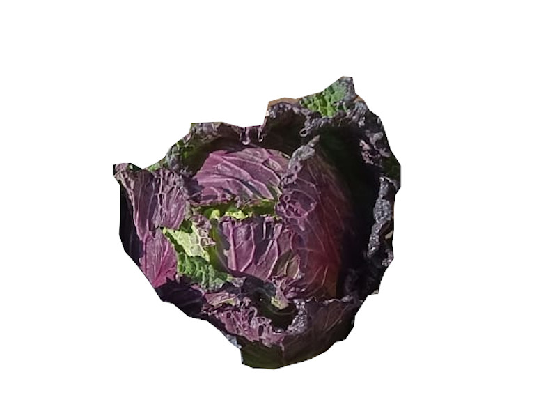 Artikelbild Bio Kohl/Wirsing 1229