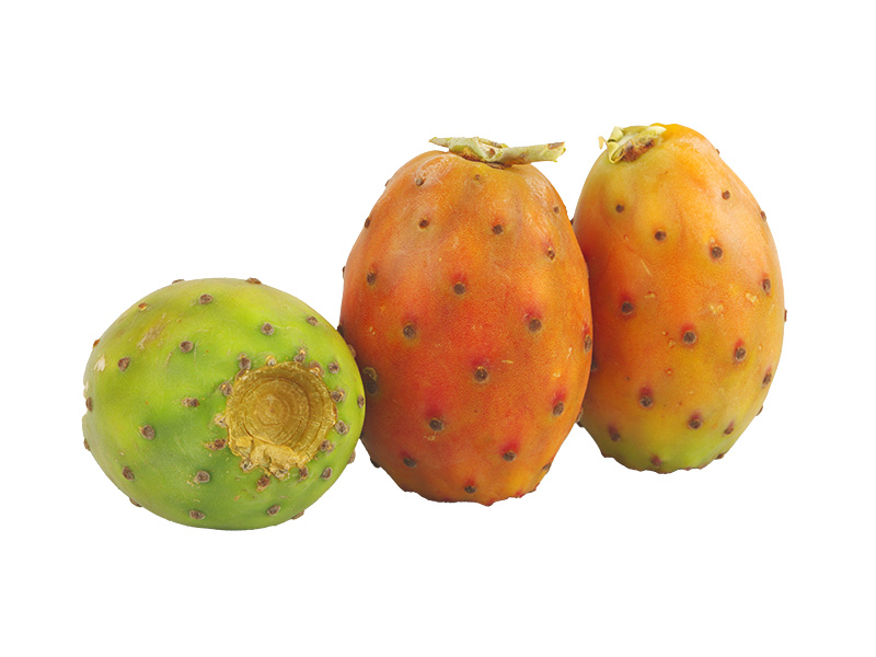 Artikelbild Kaktusfeige 1320