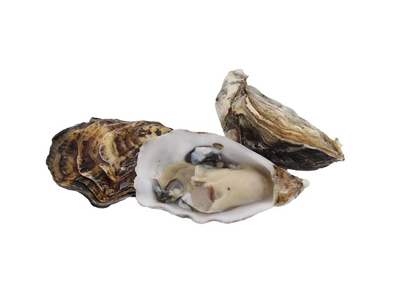 Artikelbild Austern Speciales Krystale No.2 1412