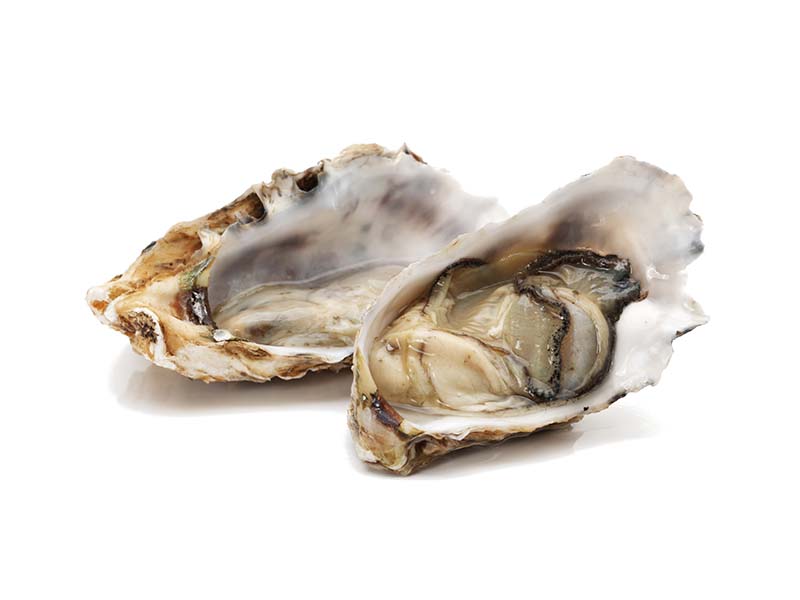 Artikelbild Austern Quiberon No.2 1441