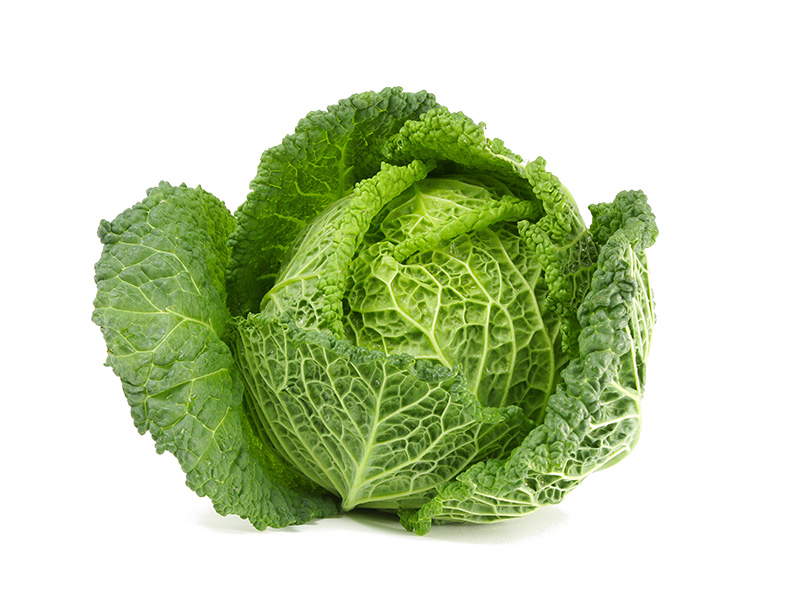 Artikelbild Bio Wirsing 1454