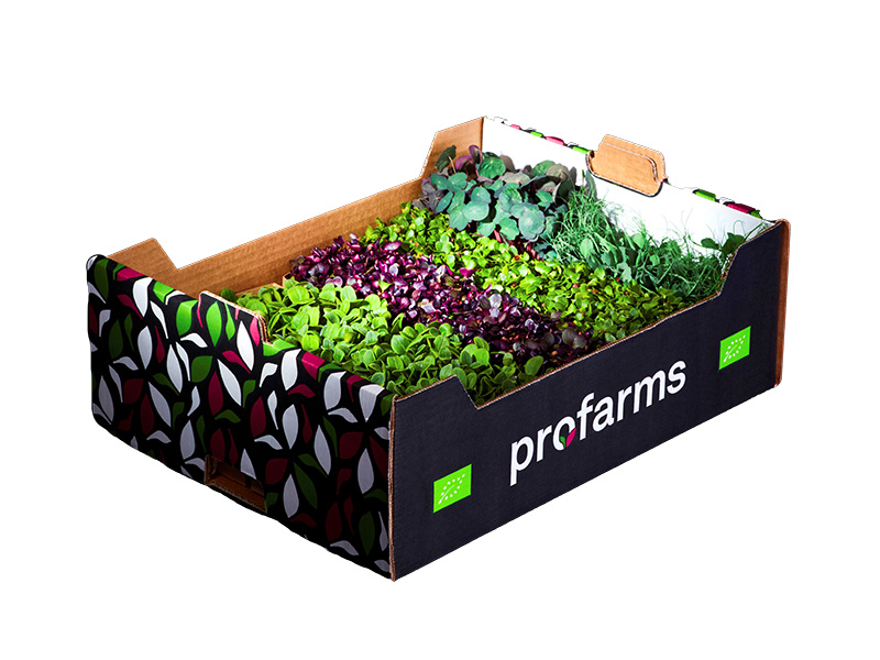 Artikelbild Bio Kresse-Mix Artista Profarms 1510