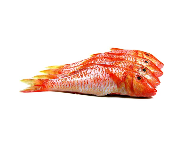 Artikelbild Bretonische Rotbarbe rund 200/300 g 1606