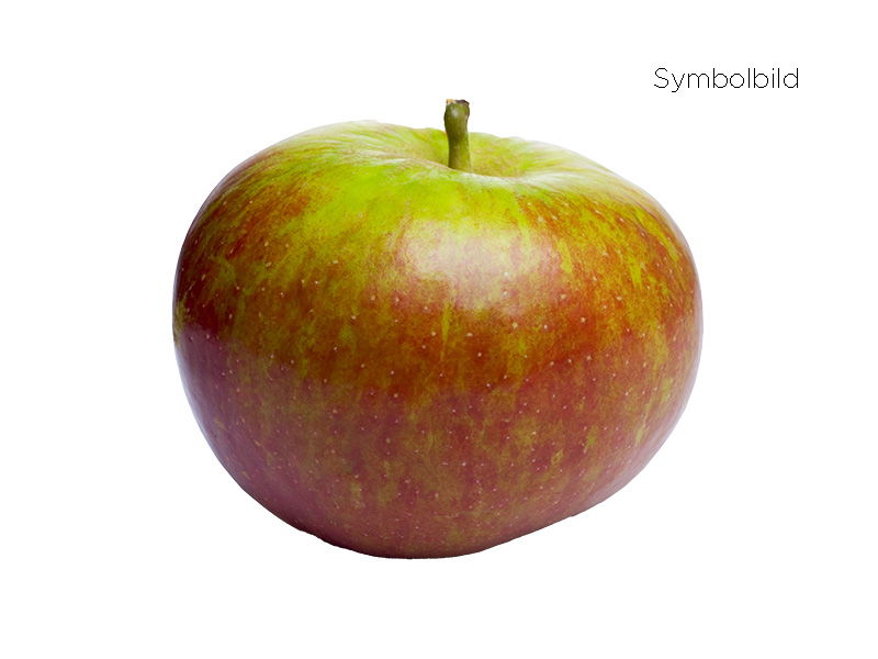 Artikelbild Apfel Boskoop 1662