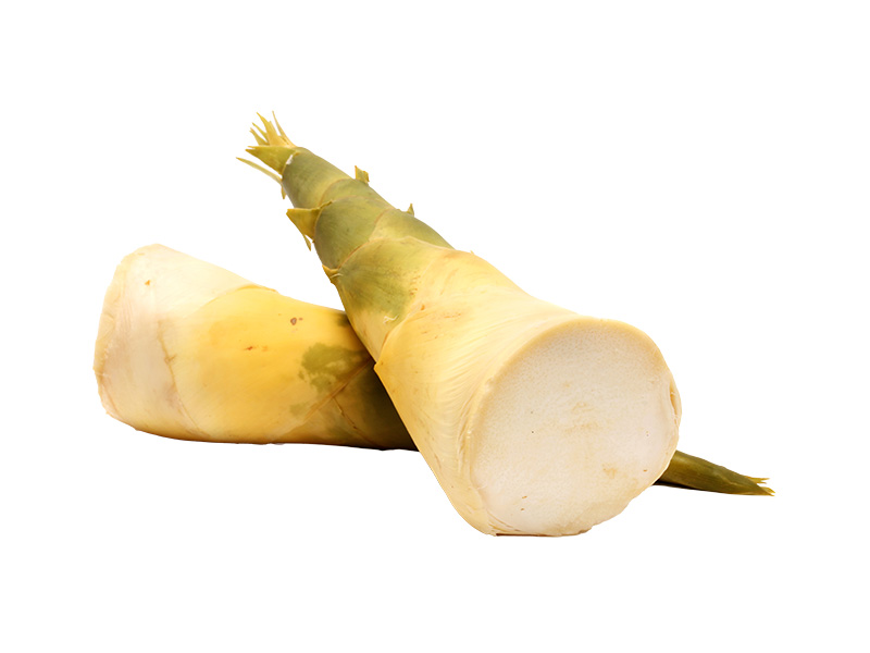 Artikelbild Bambussprossen 1908