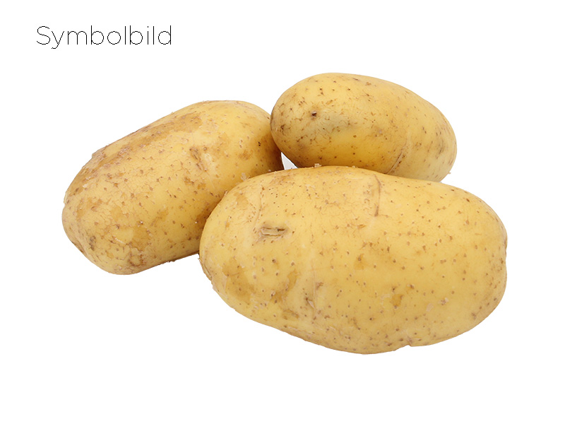 Artikelbild Bio Ofenkartoffel mehlig 2093