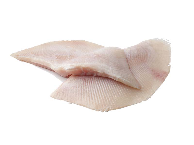 Artikelbild Bretonischer Rochenflügel o. Haut 1000/2000 g 217