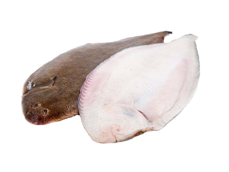 Artikelbild Bretonische Seezunge Dover Sole 300/400 g 223
