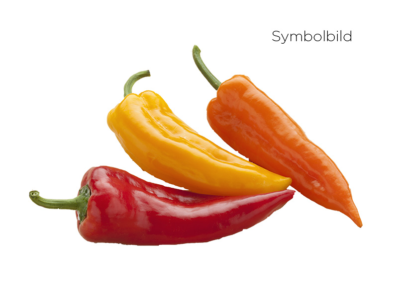 Artikelbild Bio Spitzpaprika-Mix 228