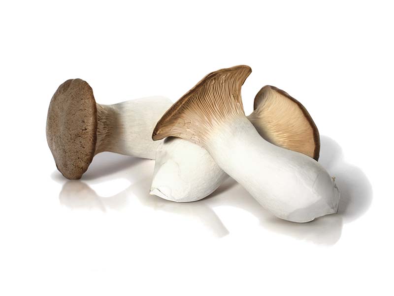 Artikelbild Bio Marchfelder Kräuterseitlinge 2389