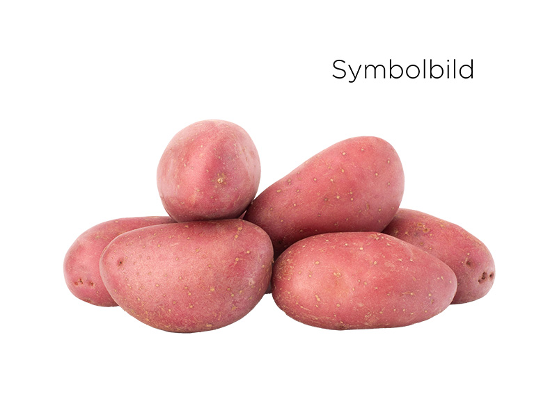 Artikelbild Bio Erdäpfel rotschalig Luna Rossa 29039