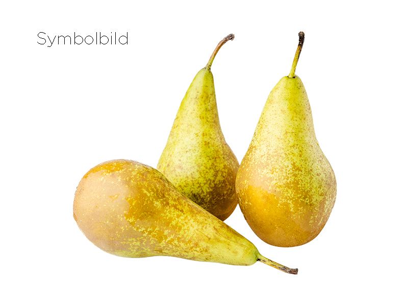 Artikelbild Bio Birne Xenia 292