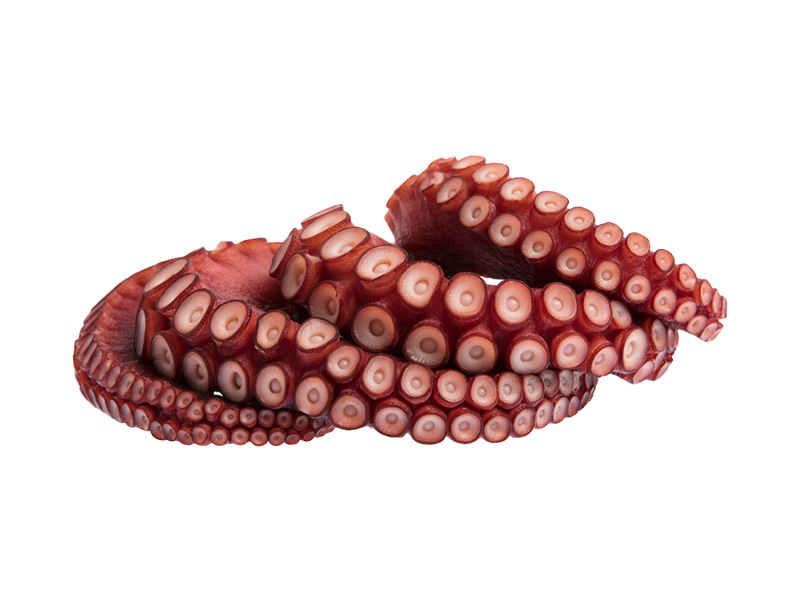 Artikelbild Tintenfisch-Tentakel T4 gekocht 80/120 g 305044