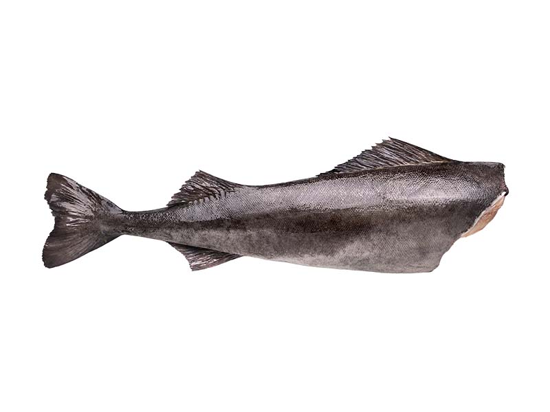 Artikelbild Kohlenfisch/Black Cod 2.7/3.6 kg 305347
