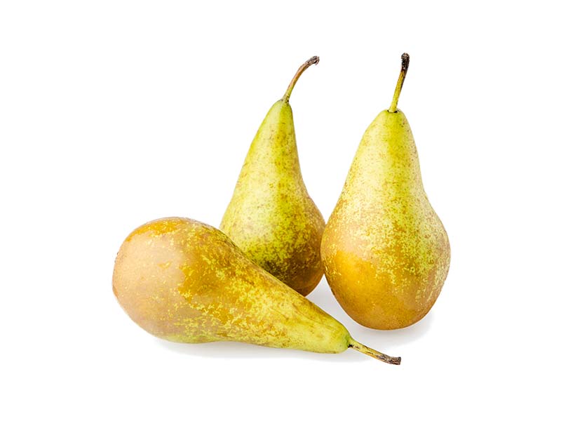 Artikelbild Bio Birne Conference 309