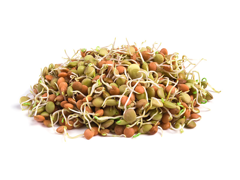 Artikelbild Bio Linsen-Sprossen 3564