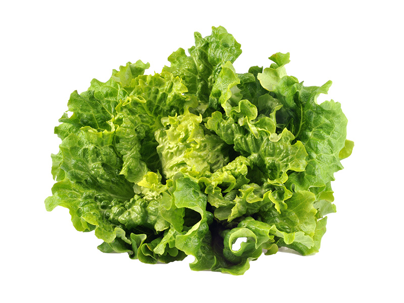 Artikelbild Bio Batavia grün 3830