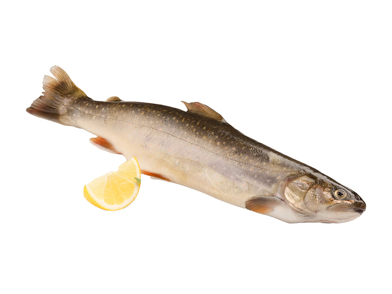 Artikelbild Bio Bachsaibling ausgenommen 350/450 g 4242