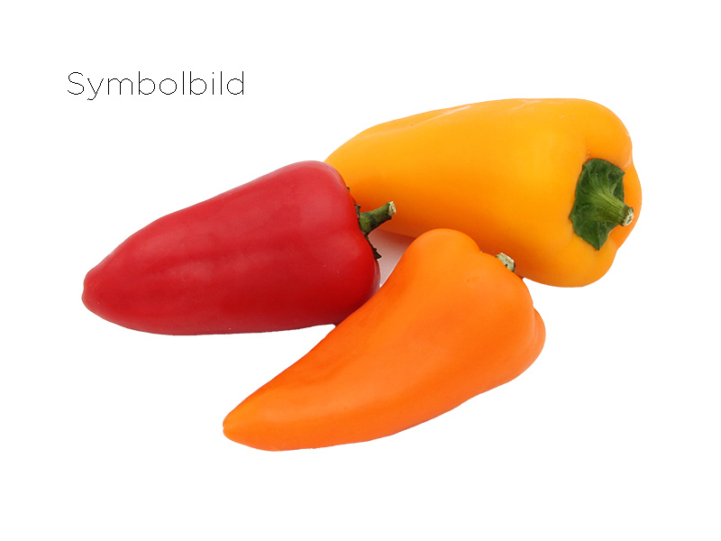 Artikelbild Bio Mini-Paprika-Mix 458