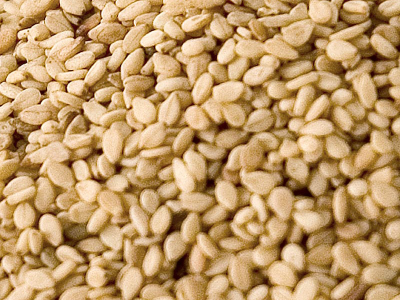 Artikelbild Bio Sesam weiß geröstet ungeschält 49303