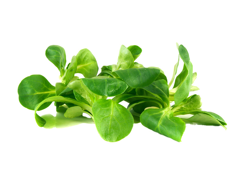 Artikelbild Bio Feldsalat lose 5353