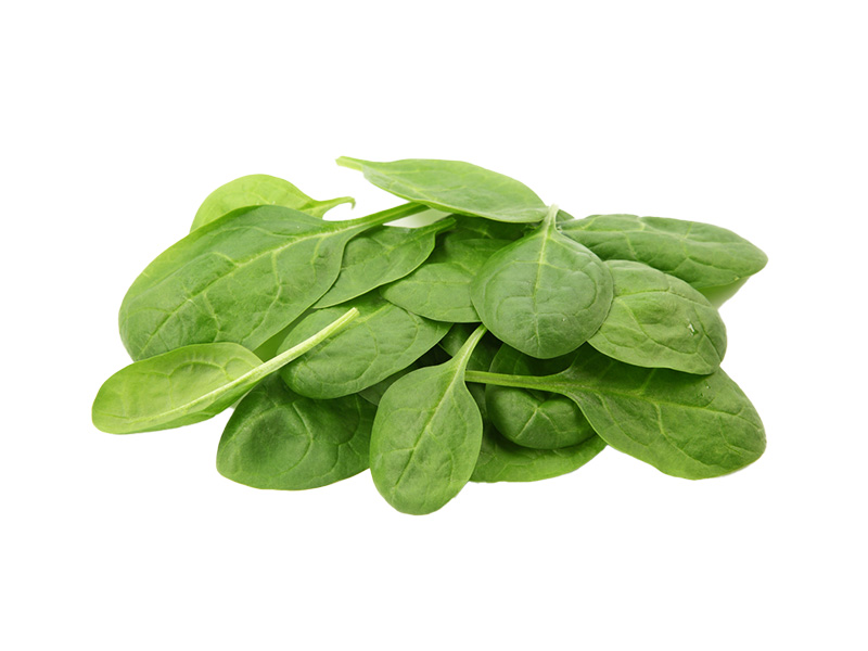 Artikelbild Babyspinat 581