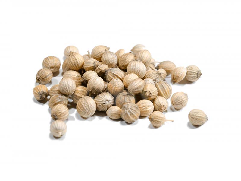 Artikelbild Koriander ganz großkörnig 6212