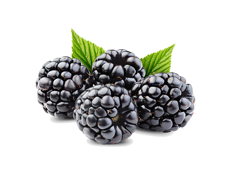 Artikelbild Bio Brombeere 643