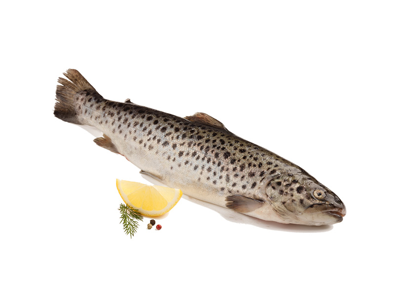 Artikelbild Bio Seeforelle ausgenommen 300/600 g 6895