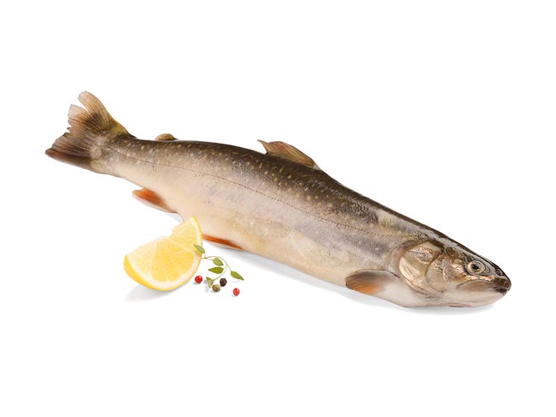 Artikelbild Bachsaibling ausgenommen 350/400 g 6975