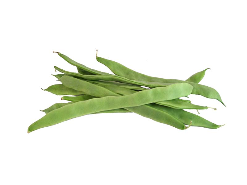 Artikelbild Bohne grün breit 7103