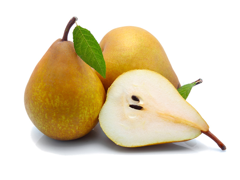 Artikelbild Birne Xenia 7256