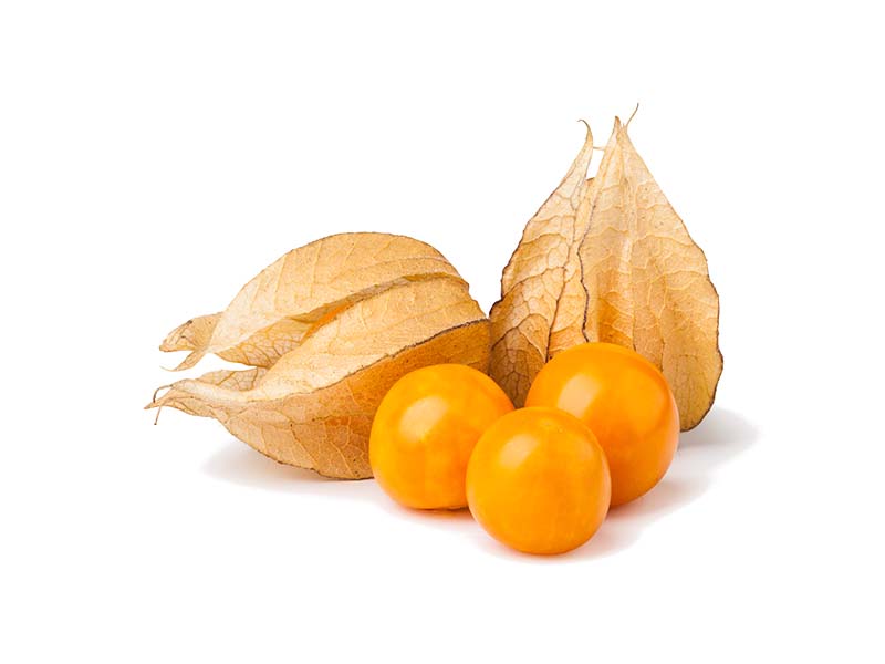 Artikelbild Bio Physalis 734