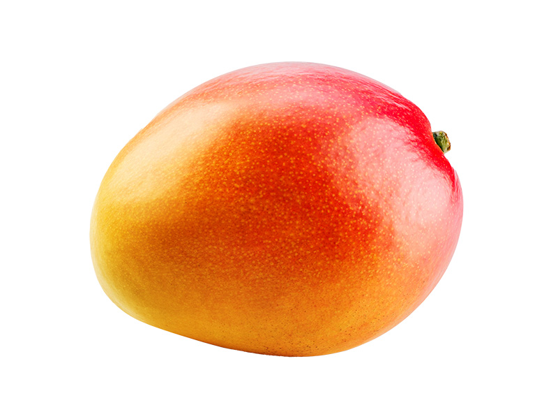 Artikelbild Mango Kent 12er 76