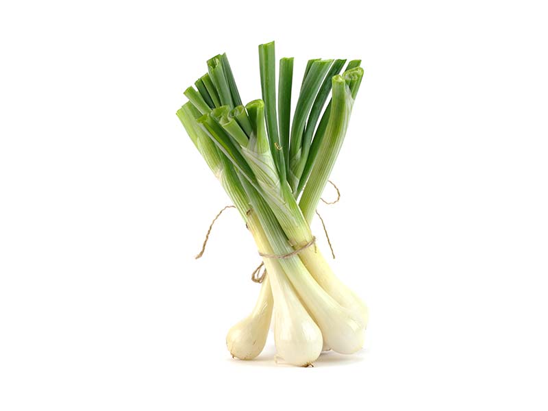 Artikelbild Bio Jungzwiebel 7806