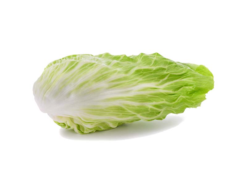 Artikelbild Bio Zuckerhut 7807