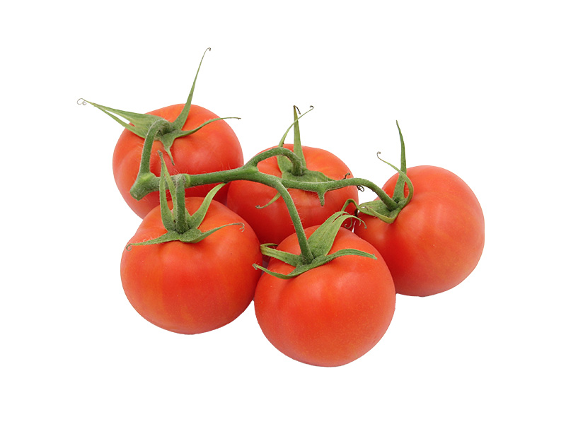 Artikelbild Bio Strauchtomate rot 7827