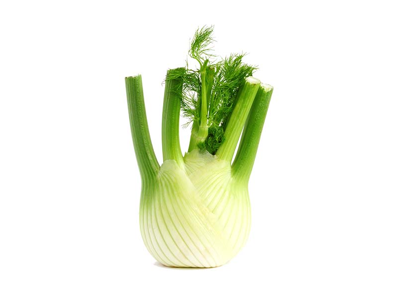Artikelbild Bio Fenchel 7835