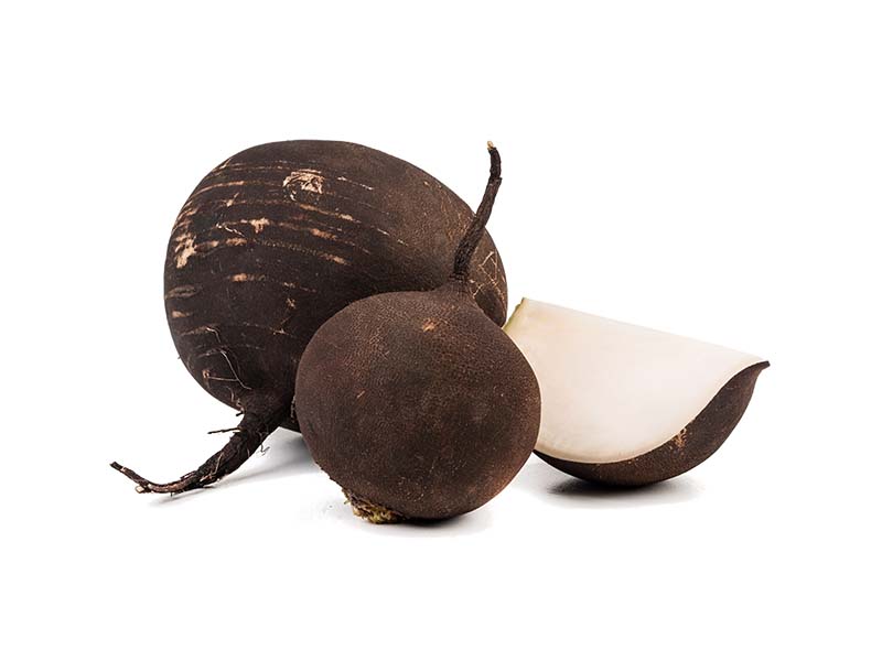 Artikelbild Bio Rettich schwarz 7861