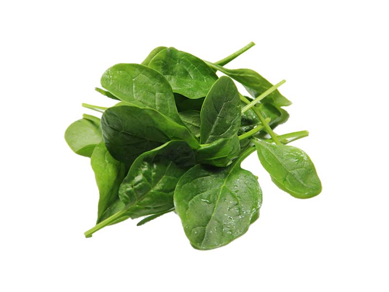 Artikelbild Bio Babyspinat 7878