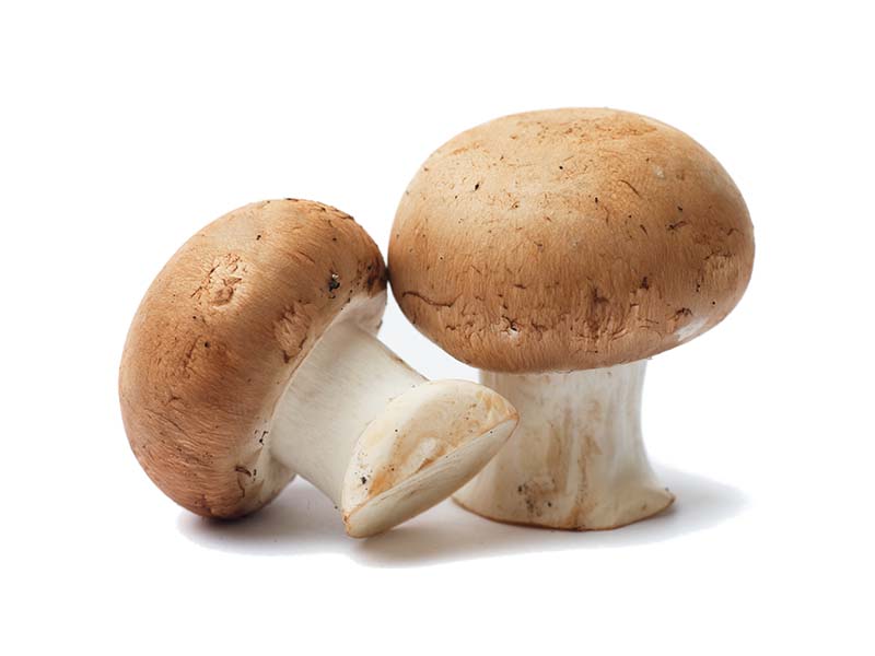 Artikelbild Bio Champignon braun 7880