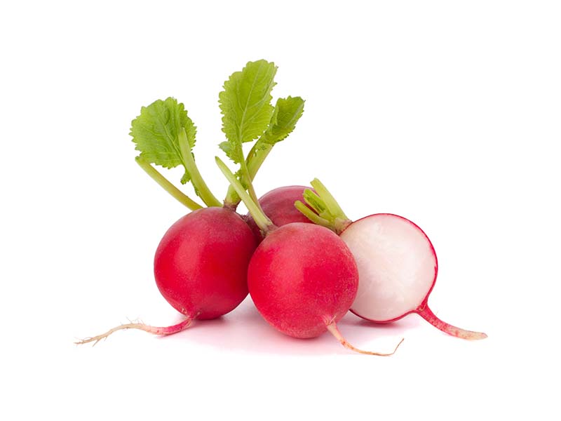Artikelbild Bio Radieschen 7888