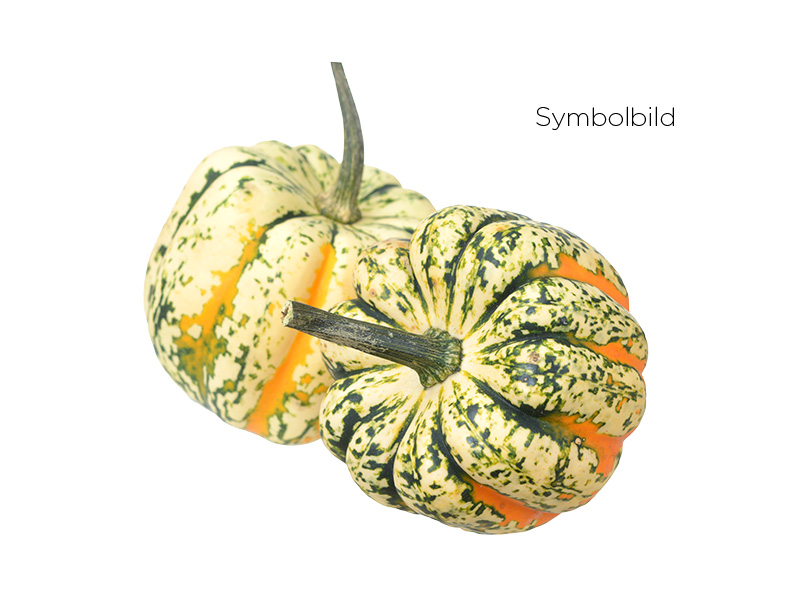 Artikelbild Bio Kürbis Sweet Dumpling 795
