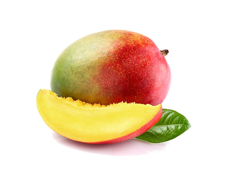 Artikelbild Mango Kent 80171