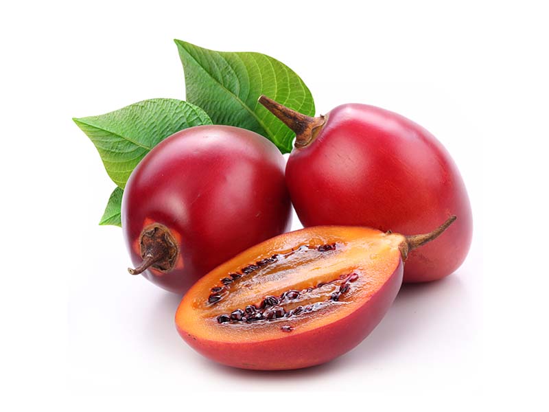 Artikelbild Tamarillo 81113