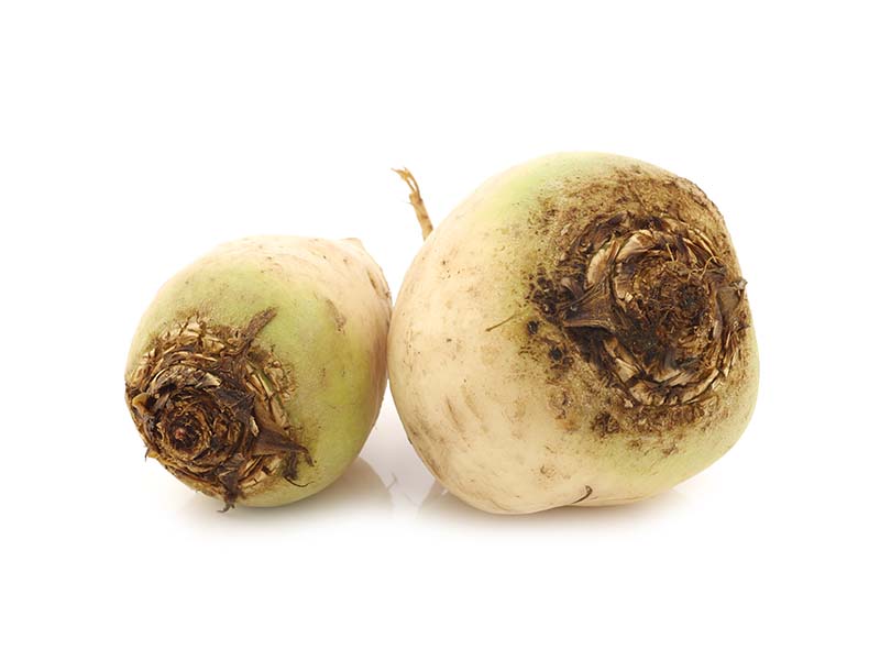 Artikelbild Bete weiß 8201