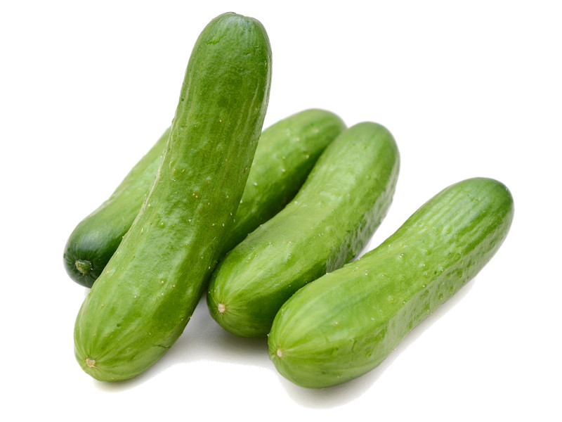 Artikelbild Bio Mini-Gurke 8600