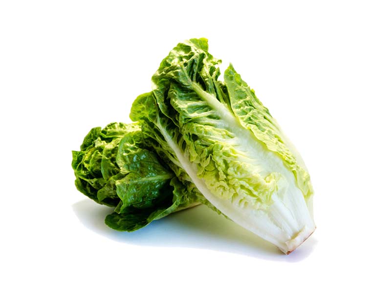 Artikelbild Bio Romanasalatherzen 864